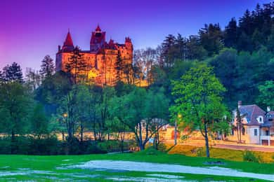 Bucharest : Peleș Castle, Dracula Castle and Brașov Day Trip