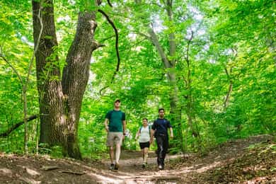 Budapest: Buda Hills Guided Hiking Tour with Optional Lunch
