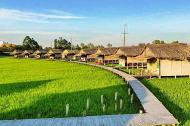 HCM: Authentic Dong Thap Mekong Delta Day Trip & Boat Ride
