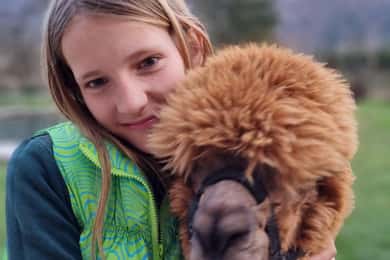 Walking with alpacas - Domačija Loncnar - Bohinj