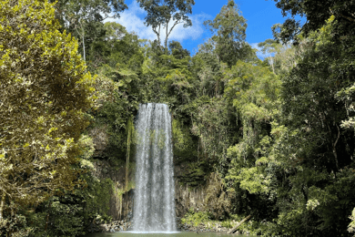 Desde Cairns Excursión de un día a Atherton Tablelands y el Parque Paronella