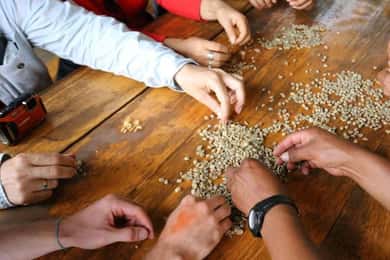 Huayopata Coffee or Cocoa 2-Day Private Tour