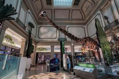 Tour guiado combinado do American History/Natural History Museum