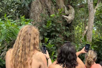 Punta Uva: Excursión en Kayak por la Pereza y la Fauna
