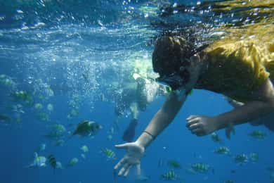 Tour in barca da Avola a Portopalo con visita di Marzamemi