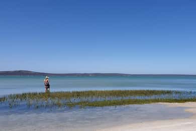West Coast National Park: Private Day Tour.
