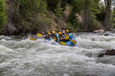 Colorado: Guided Blue River Rafting Trip