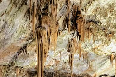 Da Lubiana: Gita guidata alle Grotte di Postumia e al Castello di Predjama