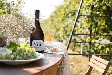 Degustazione di vini: i sapori delle "Colline del Prosecco