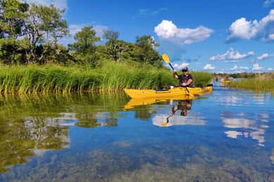 Archipel de Stockholm : journée de kayak avec déjeuner sur une île