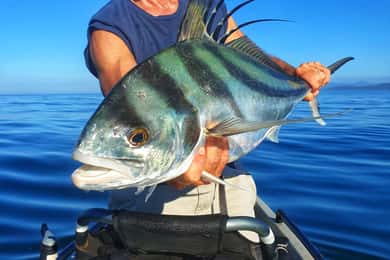 Saltwater kayak fishing tour