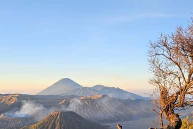 Yogyakarta: 4 dagen, 3 nachten naar Bromo, Ijen-krater en meer