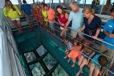Cayo Hueso Tour en barco de fondo de cristal por los arrecifes con opción de puesta de sol