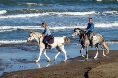 Casablanca: Passeggiata a cavallo sulla spiaggia con trasferimenti dall'hotel