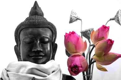 Экскурсия на шелковую ферму Lotus Silk Farm в Сием Рипе с трансфером из центра города
