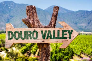 From Porto: Full-Day Douro Valley Trip
