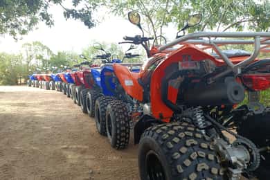 Quad biking in Hammamet