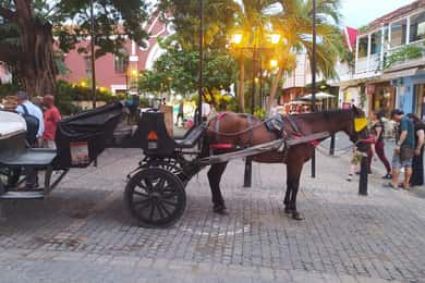 Cartagena: CARRETA COLONIAL DE CAVALO DESENHADO por A CIDADE VELHA