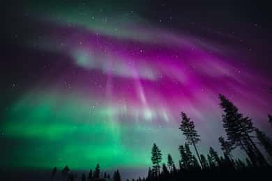 Rovaniemi: Grupptur för norrskensjakt – garanterad utsikt