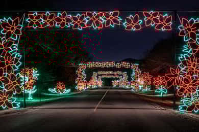 Branson: Lights of Joy Christmas Drive-Thru