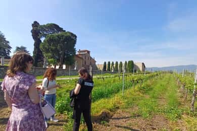 Iseosee & Weingüter der Franciacorta. Tour mit Weinproben