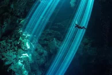 Playa del Carmen: Duiken bij Cenote Dos Ojos