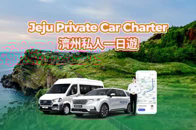Jeju: Private One Day Car Charter