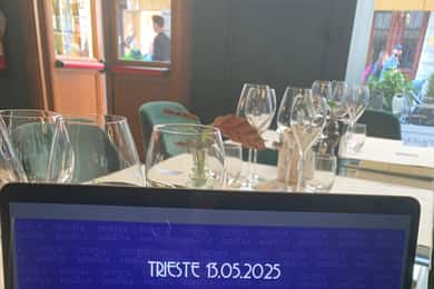 Trieste: esperienza di degustazione privata a casa tua