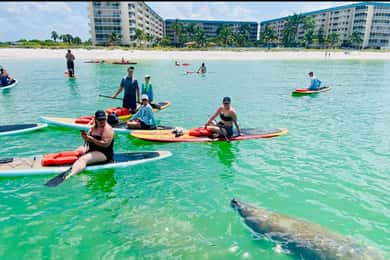 Marco Island: Guided Manatee-Watching Kayaking or SUP Tour