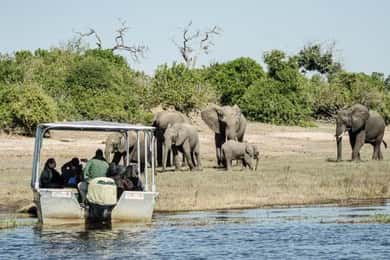 Chobe full day trip - Chobe National Park Botswana
