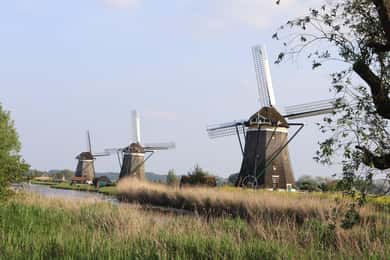 Delft und Volendam: Käse, Holzschuhe und Windmühlen (kleine Gruppe)