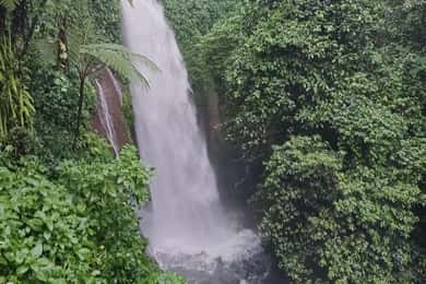 Jakarta Bogor Botanical Garden, Waterfall and Rice Terrace
