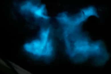 La Parguera: Bådtur i den bioluminescerende bugt