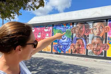 Wynwood walking tour in French (2h)