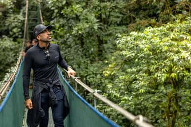 Rainforest Hike with Suspension Bridges and Sloth…