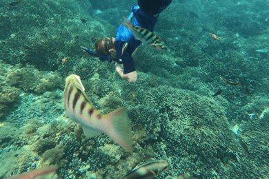 Sanur: Schnorcheln in der Küstenregion