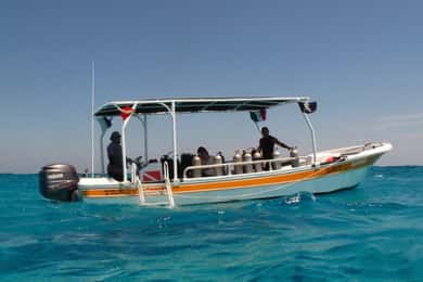 Cancún: 2-Day PADI Open Water Diving Course