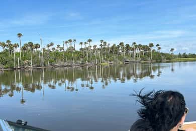 Daytona Beach: Upptäckarkryssning längs kusten