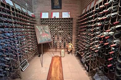 Visita à Vinha de Tres Palacios - Melipilla