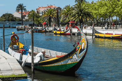 Von Porto aus: Tagestour nach Coimbra & Aveiro mit Bootsfahrt
