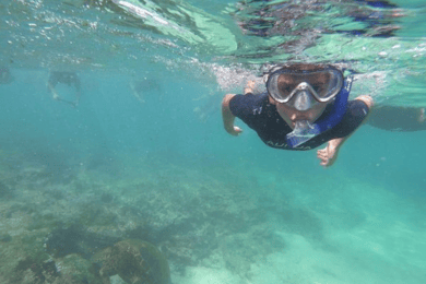 Excursão de meio dia a Tintoreras saindo da Ilha Isabela