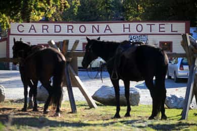 Cardrona Valley: Horse Trekking Experience