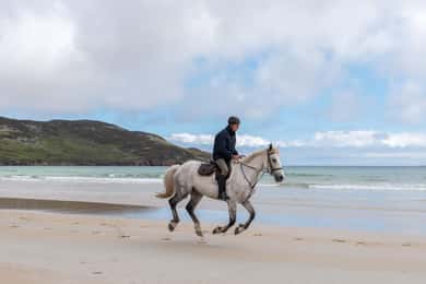 Westport: Geführter Ausritt zum Strand und in die Landschaft