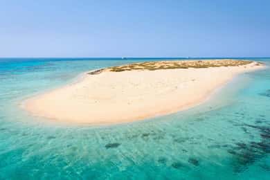 Från Sharm: Snorklingsutflykt till White Island och Ras Mohamed