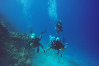 Learn Diving in Maldives