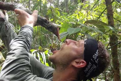 Manaus : Survival in the Amazon Jungle