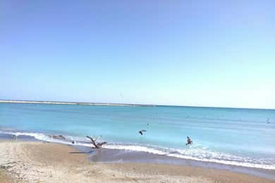 Private Bucharest Tour: Discover Constanța & Black Sea Coast