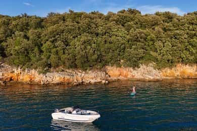 Κρκ: Βόλτα με βάρκα στο ηλιοβασίλεμα με κρασί, υψηλή πιθανότητα να δείτε δελφίνια