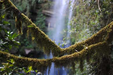 Bogotá: Private Tour to La Chorrera, Colombia’s Highest Fall