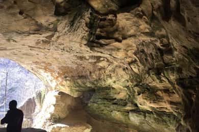 Trakošćan: Lakes and Mystical Castles Guided Bike Tour